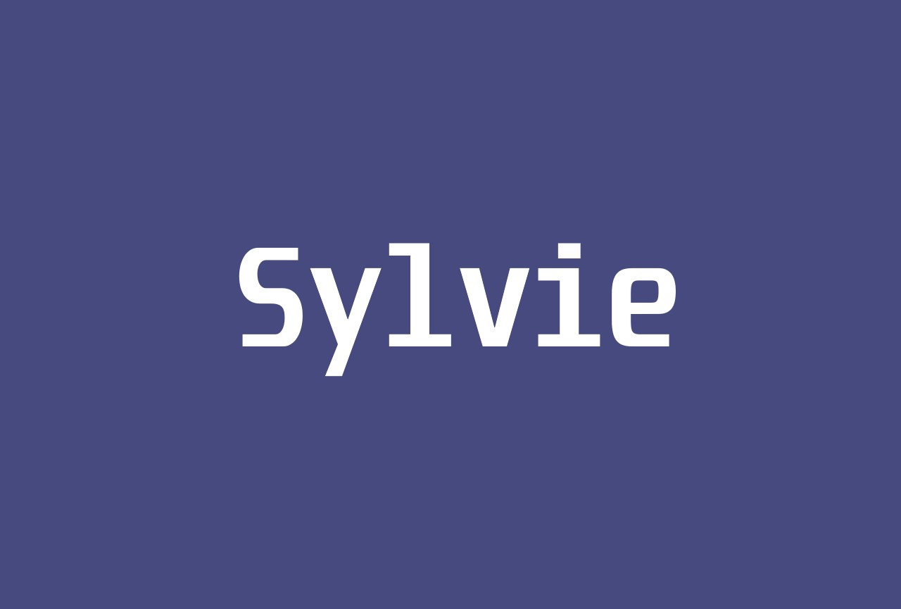 An image of the Sylvie project.